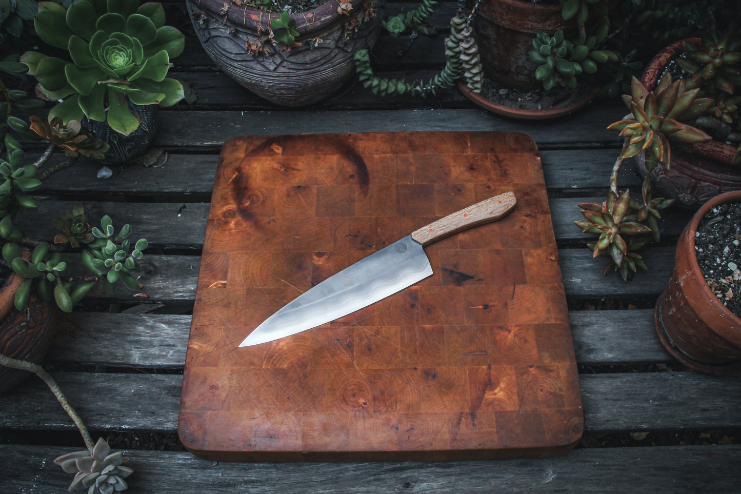 8" (200mm) Chef Knife in 1095 High Carbon Steel with Macadamia wood Handles and Orange G10 liners & pins