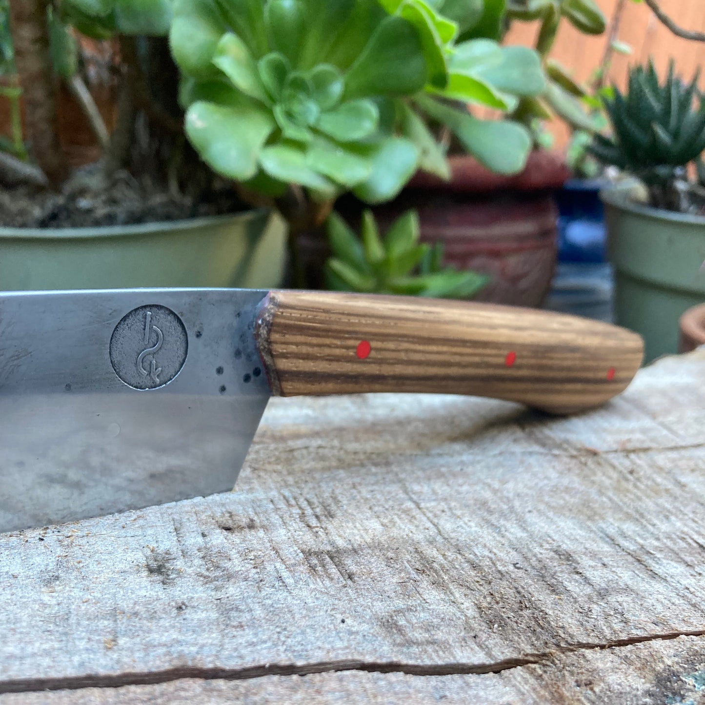 5.5" (140mm) Petty Knife, 1080 High Carbon Steel, Zebra wood with Red liners and pins