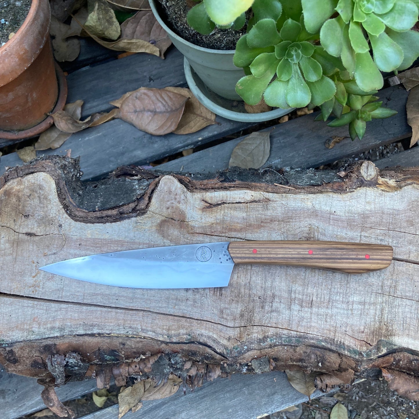 5.5" (140mm) Petty Knife, 1080 High Carbon Steel, Zebra wood with Red liners and pins