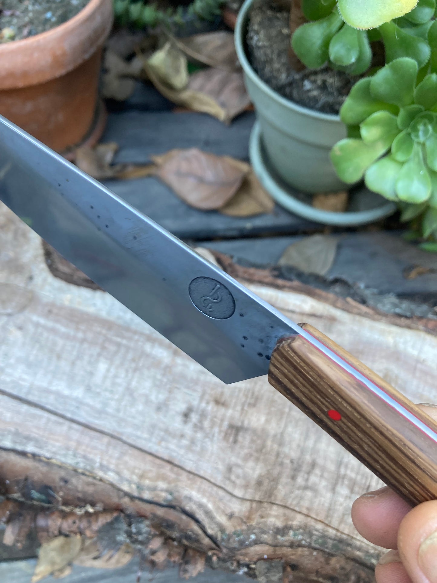 5.5" (140mm) Petty Knife, 1080 High Carbon Steel, Zebra wood with Red liners and pins